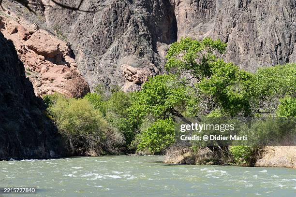 river in the charyn canyon in kazakhstan - charyn river stock pictures, royalty-free photos & images