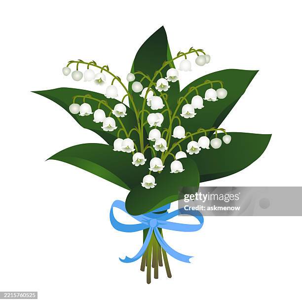 bildbanksillustrationer, clip art samt tecknat material och ikoner med bouquet of lilies of the valley - liljekonvalj