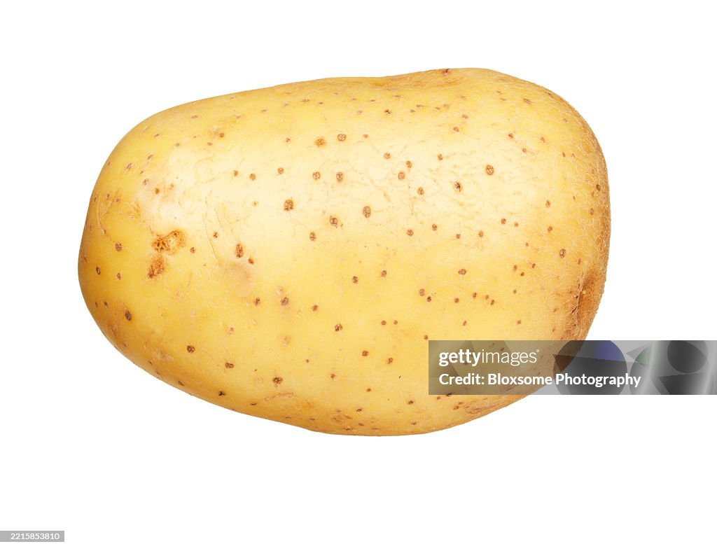 Potato
