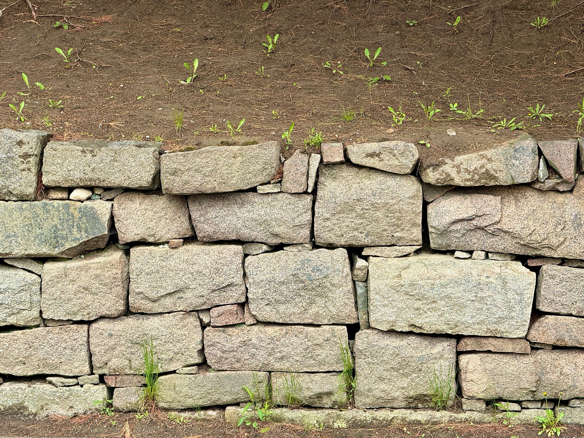 garden retaining wall