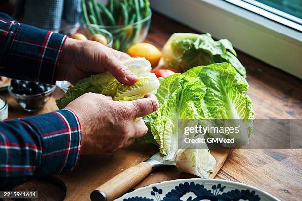 preparing tuna salad nicoise with tomatoes, potatoes, green beans and eggs - gekookte aardappel stockfoto's en -beelden