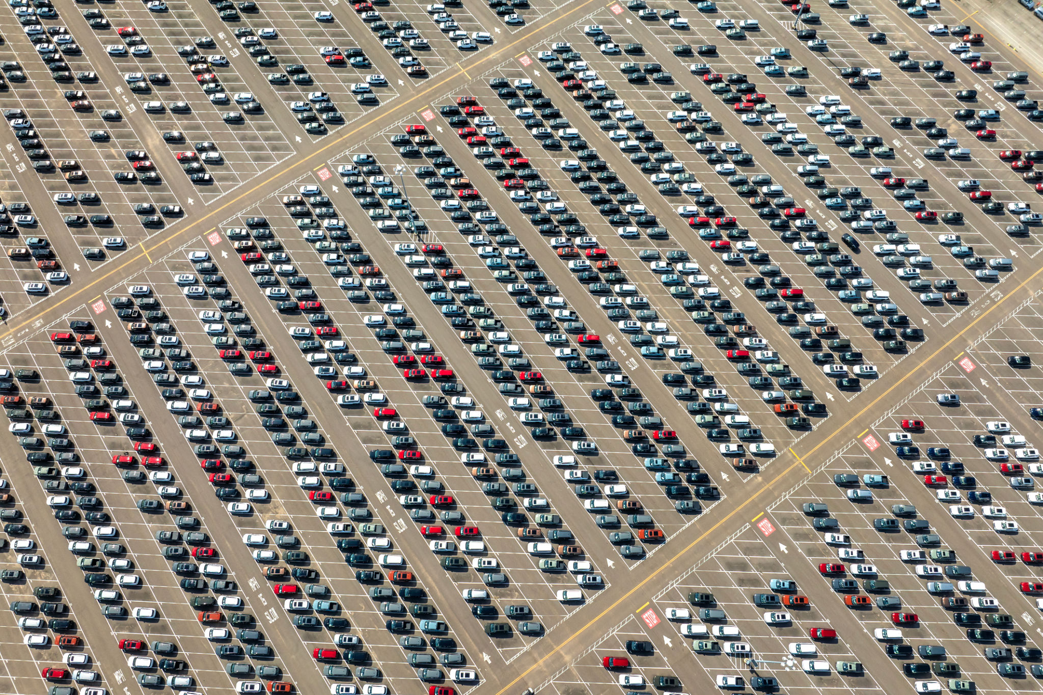 cars for sale