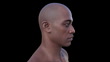 Mans Head And Face Rotating Animation HD Stock Video Getty Images mans-head-and-face-rotating-animation-hd-stock-video-getty-images