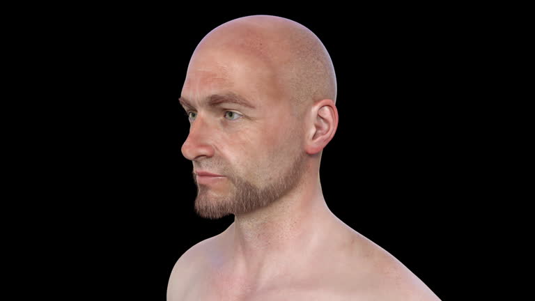 Head Rotation 360 Animation 44 Man Face 360 Stock Videos, Footage, & 4K Video Clips - Getty Images