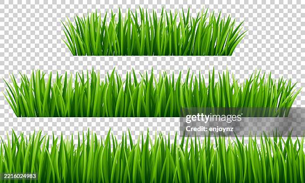seamless lush green grass side on profile - turf background stock illustrations