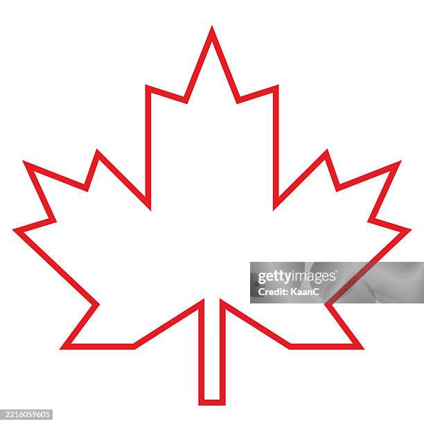 maple leaf icon. modern canadian symbol. canada flag. canada. vector illustration. stock illustration - maple leaf stock illustrations