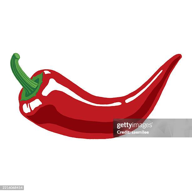 color drawing of red chili pepper - jalapeno pepper stock illustrations