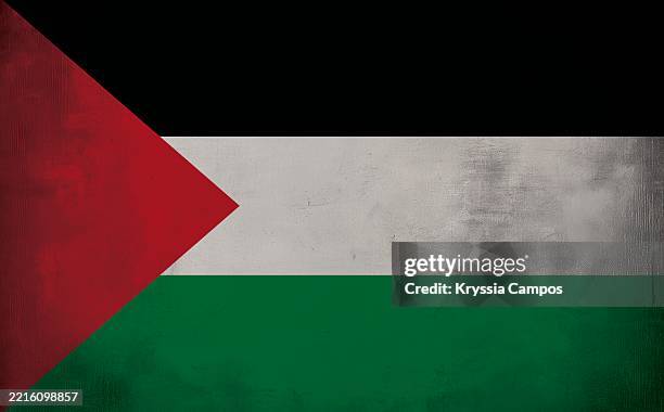 grunge-textured flag of palestine - palestinian flag stock pictures, royalty-free photos & images