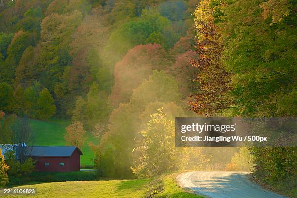 scenic view of forest,vermont,united states,usa - vermont stock pictures, royalty-free photos & images