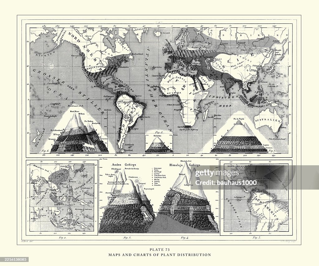 Destribution Map Graphics Maps And Charts Of Plant Distribution Engraving Antique Illustration ...