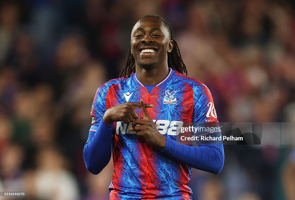 Crystal Palace FC v Wolverhampton Wanderers FC - Premier League