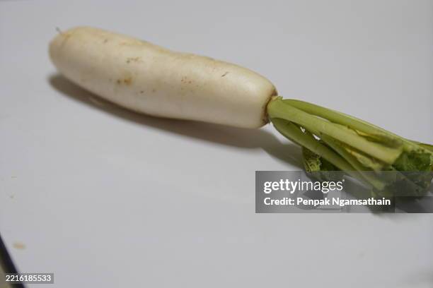 white radish - rábano grande japonés fotografías e imágenes de stock