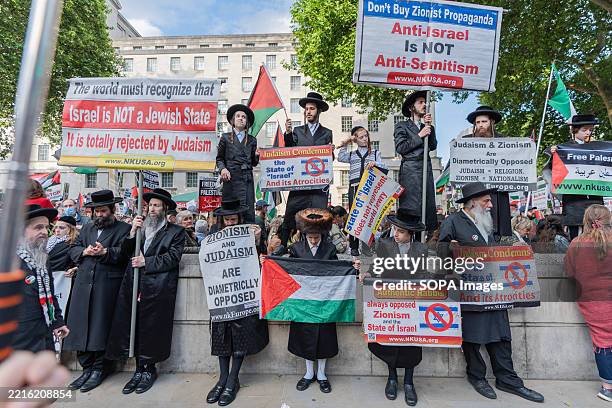 Orthodox Charedi Jews hold placards in support of Palestine during the rally. Orthodox Charedi Jews joined many thousands of pro-Palestinian...
