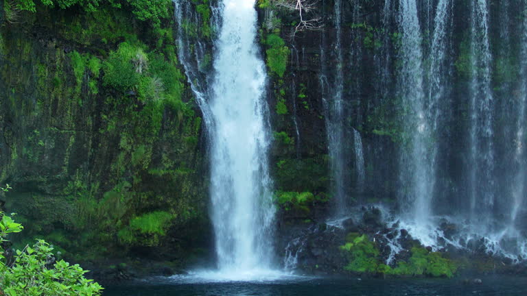 https://media.gettyimages.com/id/2216221372/video/waterfall-shiraito-no-taki-plunges-down-a-moss-covered-cliff.jpg?b=1&s=640x640&k=20&c=5CKg6V5Z9tEu5v3VZwBtz-tuJFWaswcmVakjUebajZs=