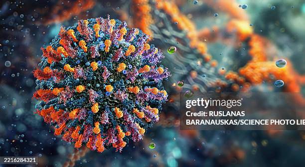 mumps virus, illustration - measles stock illustrations