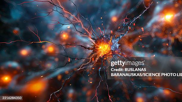 bildbanksillustrationer, clip art samt tecknat material och ikoner med nerve cell, illustration - nervcell