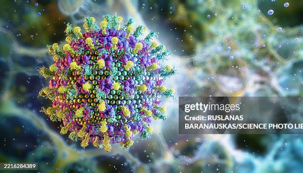 nipah virus, illustration - virus stock-grafiken, -clipart, -cartoons und -symbole