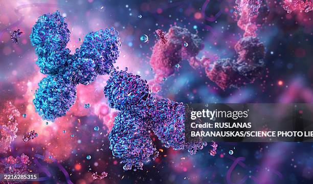 human y chromosomes, illustration - y chromosome stock illustrations