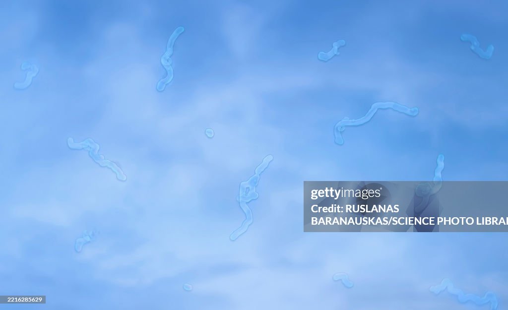 Microscope Floaters Eye Floaters Illustration High-Res Vector Graphic - Getty Images