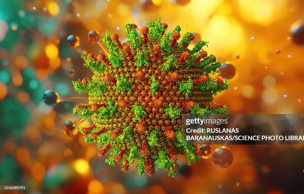 Hepatitis virus, illustration