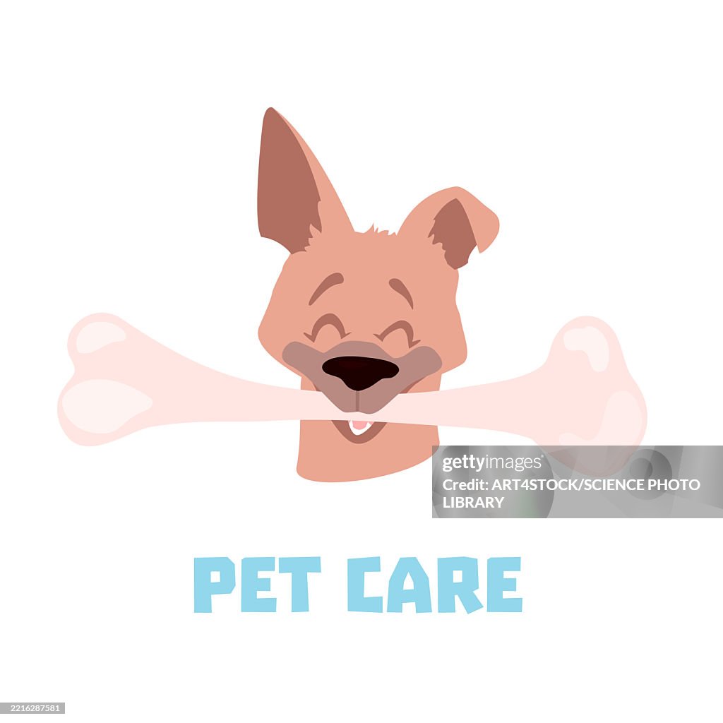 Pet care, conceptual illustration