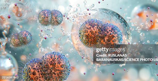 stockillustraties, clipart, cartoons en iconen met gonorrhea bacteria, illustration - neisseria gonorrhoeae