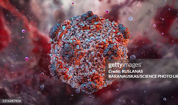 hantavirus, illustration - virology stock illustrations