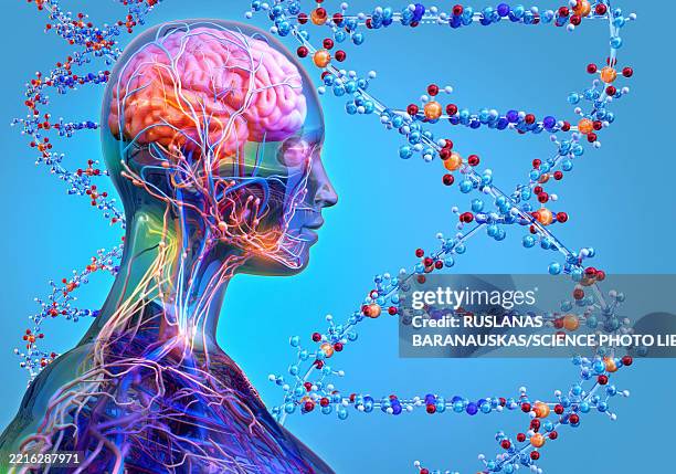 human genome, conceptual illustration - genomics stock illustrations