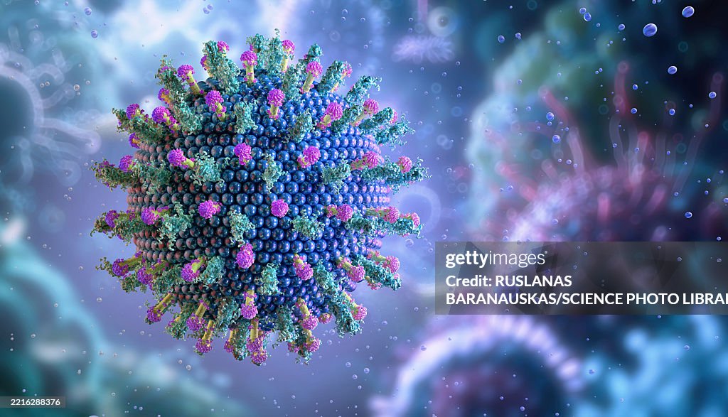 Hepatitis virus, illustration