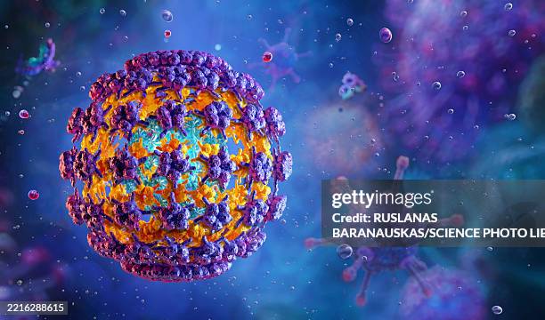 human papillomavirus, illustration - human papilloma virus stock illustrations