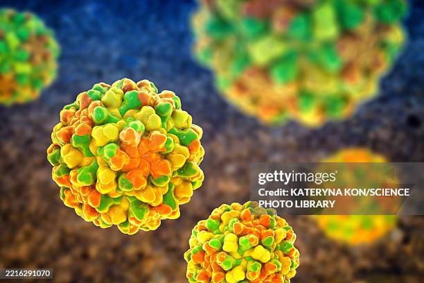 tomato bushy stunt viruses, illustration - deformed vegetable stock illustrations