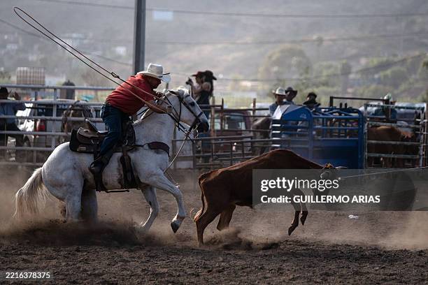Fiesta Rope 110 Mexican Fiesta Border Stock Photos, High-Res Pictures, and Images ...