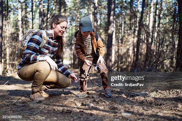 eine mutter und ihr sohn erkunden gemeinsam den wald und lernen etwas über die natur - pfadfinder stock-fotos und bilder