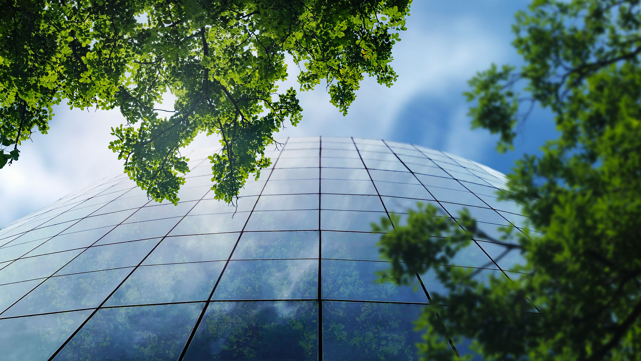 sustainable materials