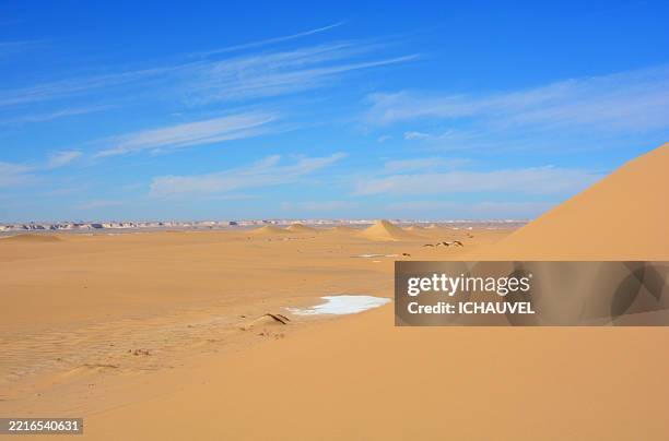 sand dunes sahara egypt - desierto del sáhara del oeste fotograf