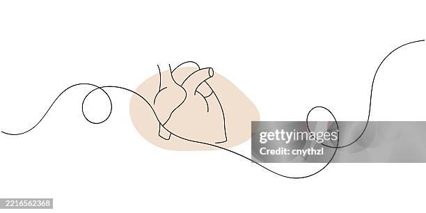 continuous line drawing of human heart icon. hand drawn symbol vector illustration. - coronary artery stock illustrations