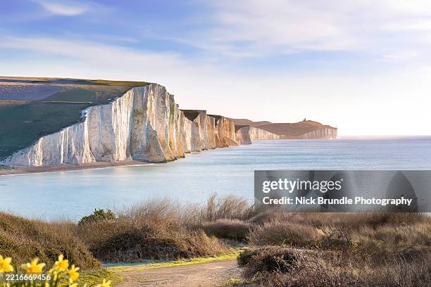 seven sisters, sussex, england. - seven sisters klif stockfoto's en -beelden