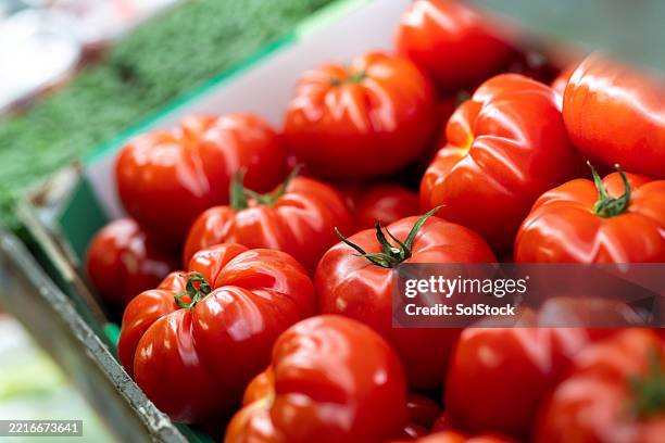 colorida exhibición de tomates en una caja - tomate fotografías e imágenes de stock