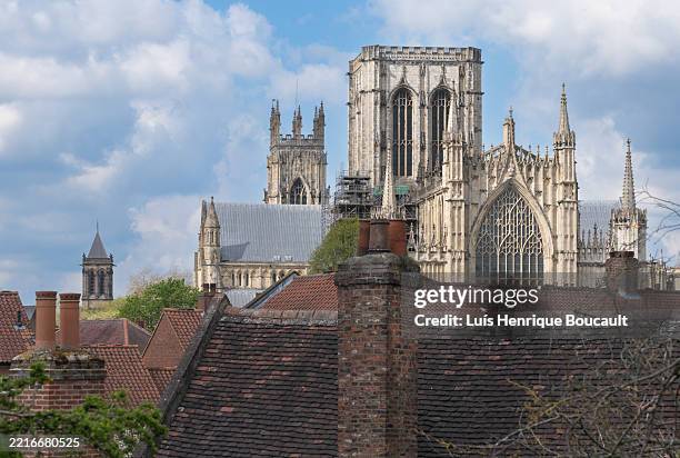 york minster cathedral in york, england - gothic medieval landmark - circa 13th century stock pictures, royalty-free photos & images