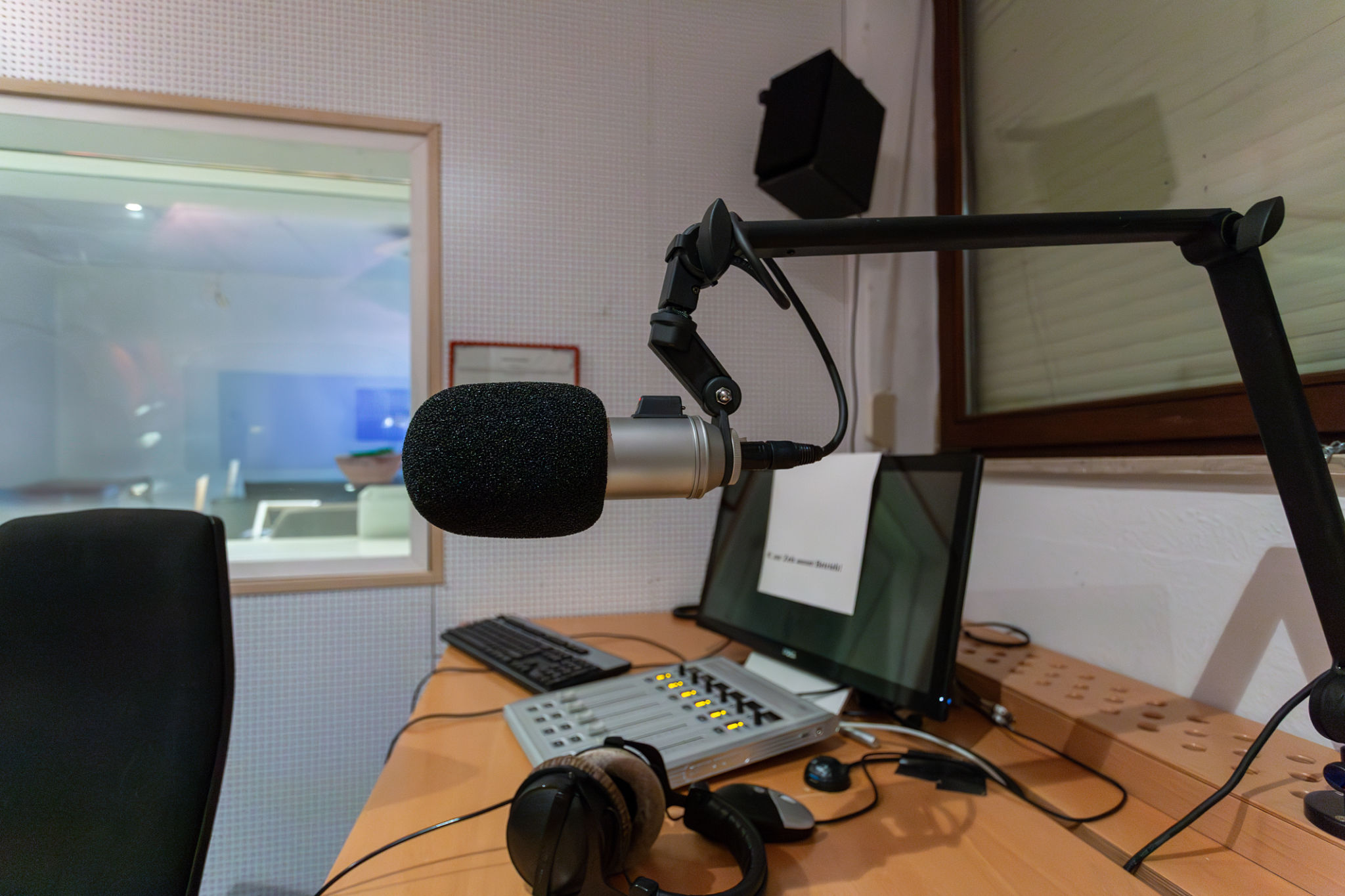 voiceover professional