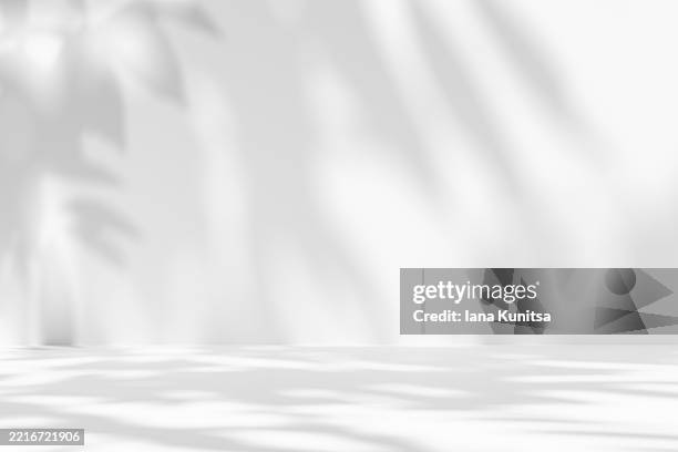 3d empty minimalistic white monochrome interior with shadows of leaves on wall and floor. elegant sunlight overlay for eco, wellness, organic, or botanical themes, designs, nature-inspired concepts. - iluminación gobo fotografías e imágenes de stock