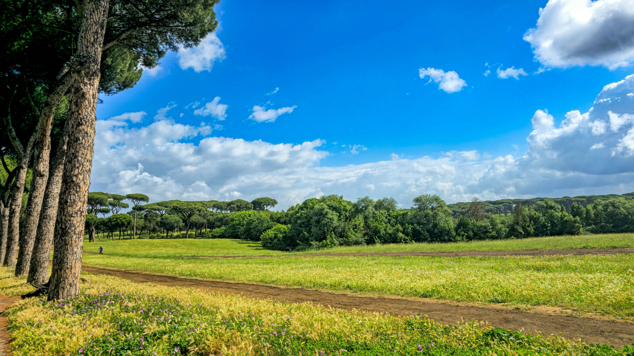 villa doria pamphili