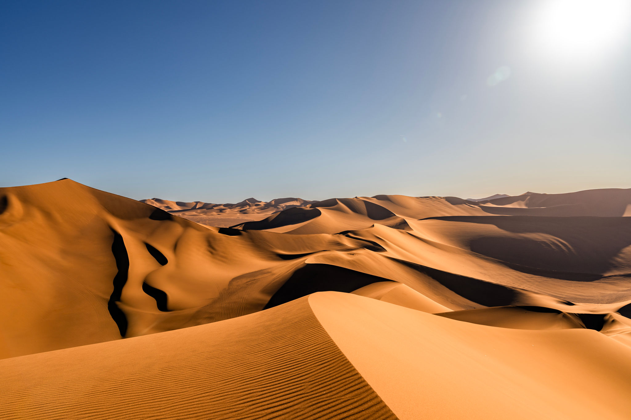 desert landscape