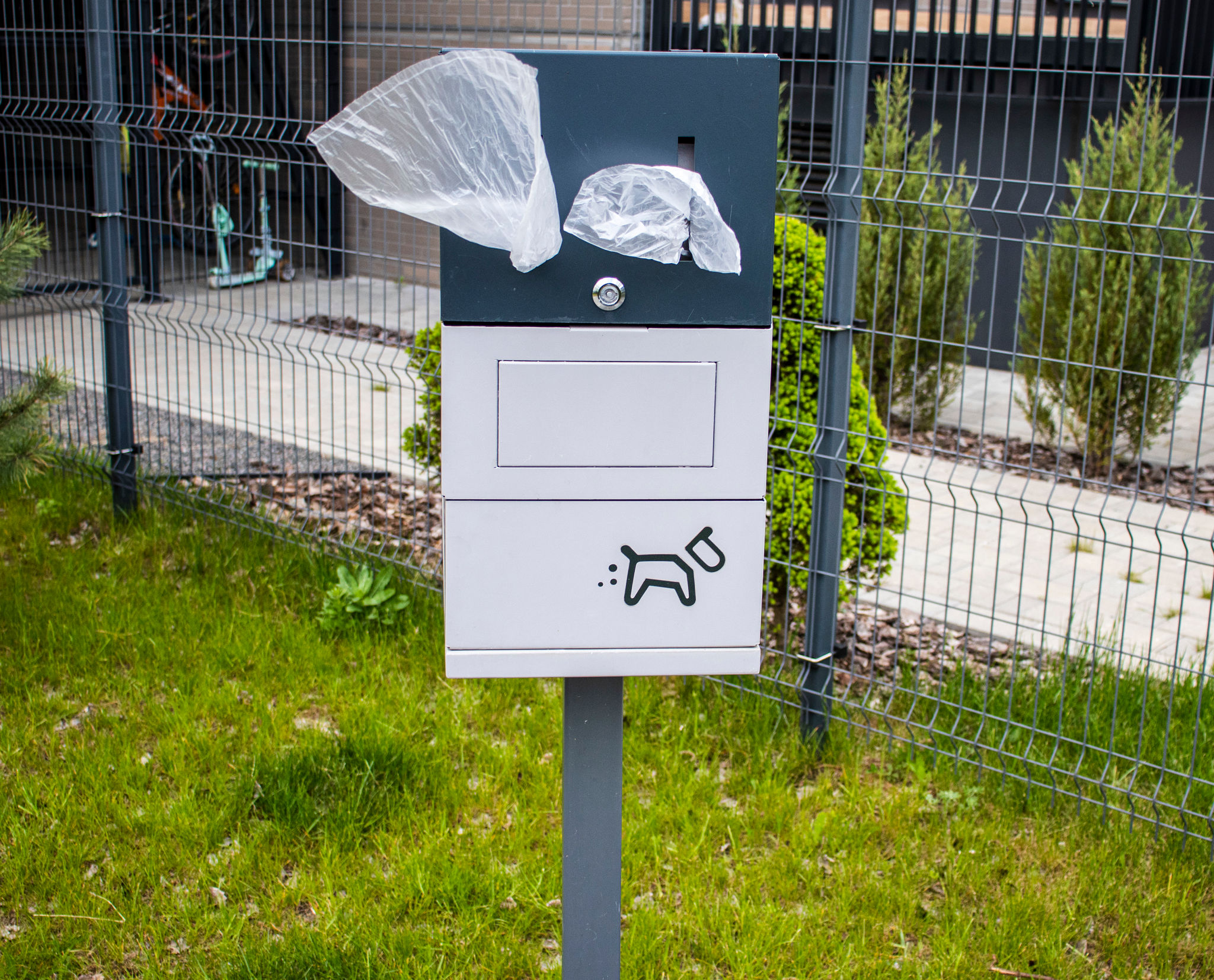 pet waste cleanup