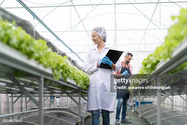 Lab Picker Testing 110 Lab Picker Stock Photos, High-Res Pictures, and Images - Getty Images