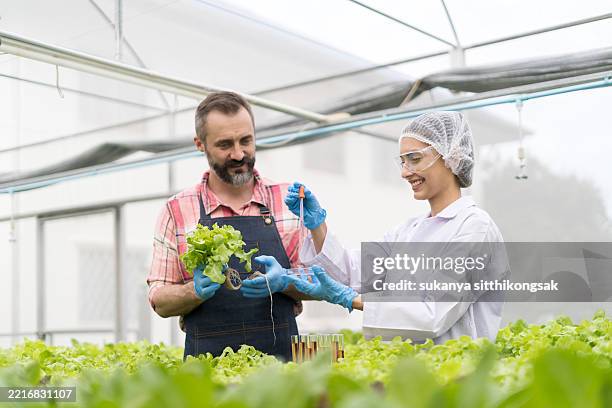Lab Picker Testing 110 Lab Picker Stock Photos, High-Res Pictures, and Images - Getty Images