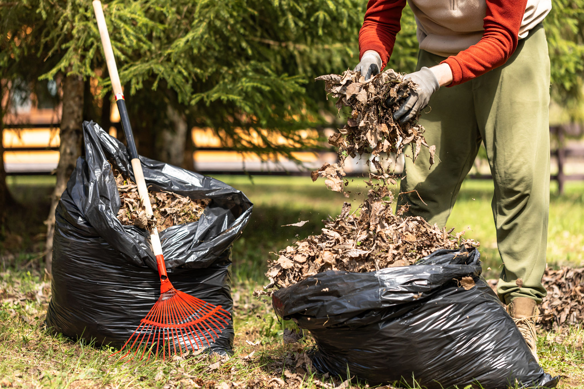 autumn leaves cleaning