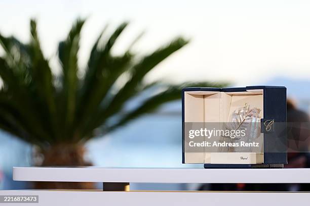 View of the Palme d'Or on display during the Palme D'Or winners photocall at the 78th annual Cannes Film Festival at Palais des Festivals on May 24,...