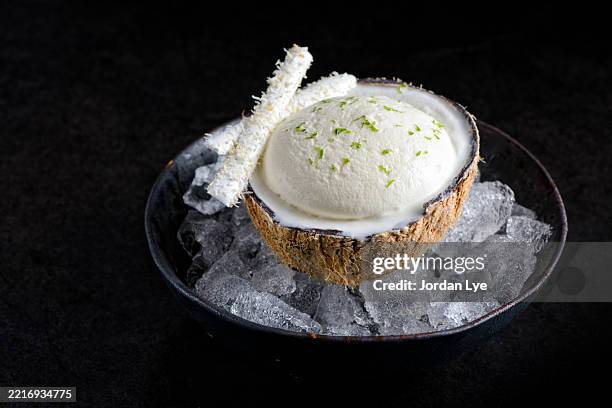 coconut ice cream fine dinning dessert - savoury food stock pictures, royalty-free photos & images