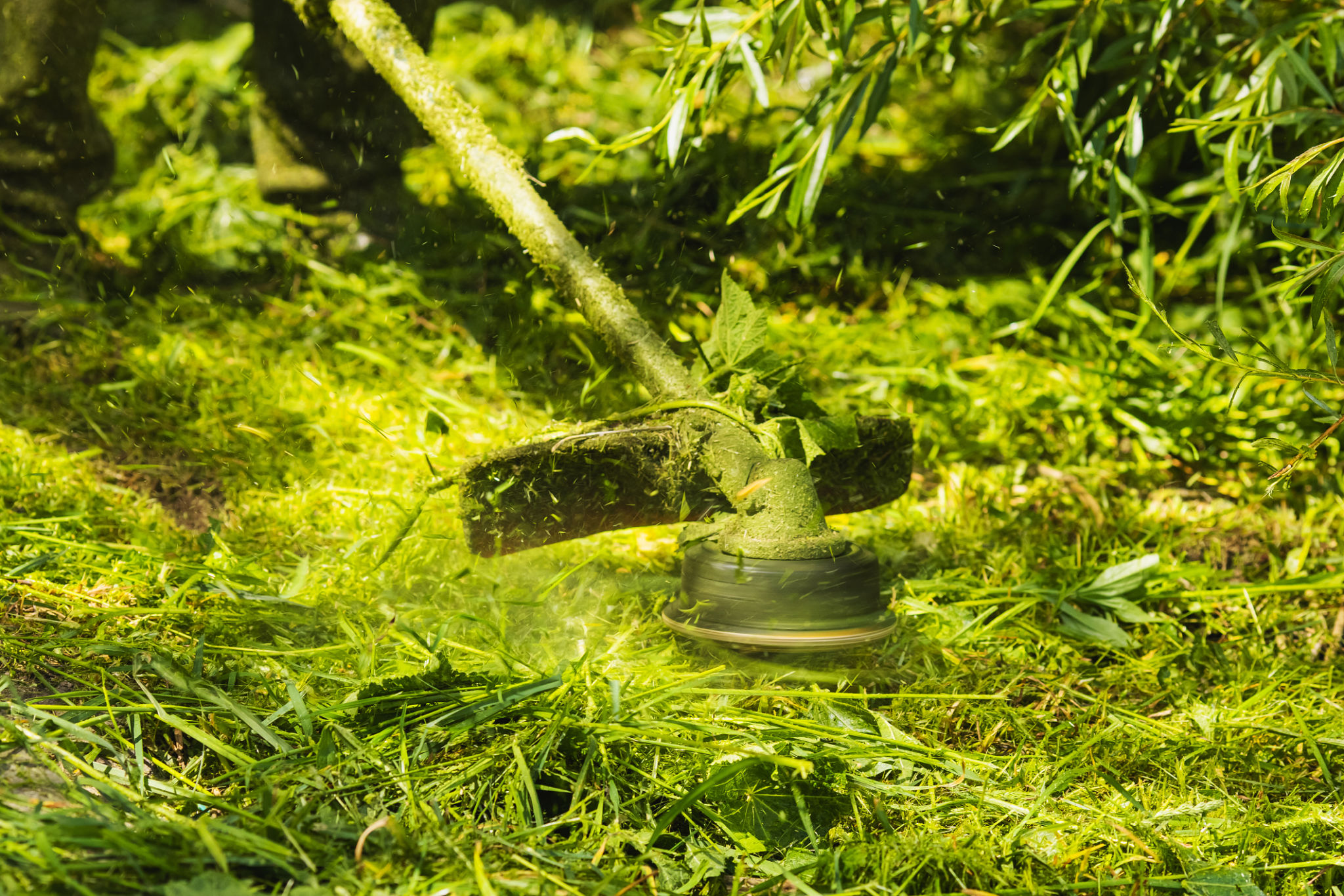 lawn care services